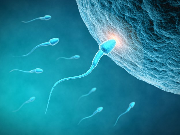 https://urologistdubai.ae/wp-content/uploads/2024/01/oxidative-stress-a-cause-of-male-infertility_1.jpg