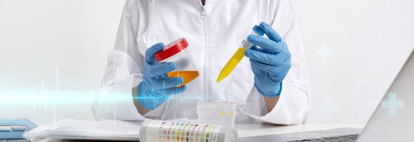 https://urologistdubai.ae/wp-content/uploads/2024/09/blog-banner-urine-color.webp