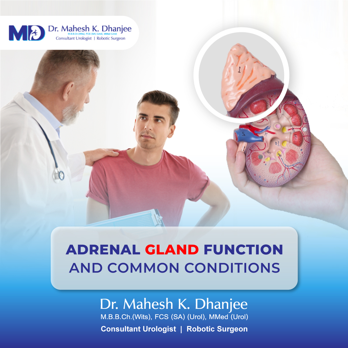 Adrenal Gland Function